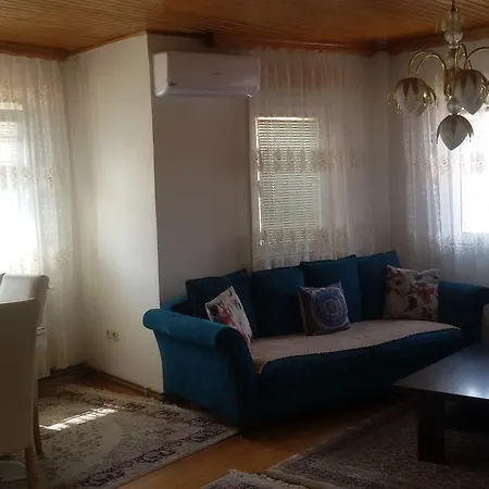 Delila Comfort *